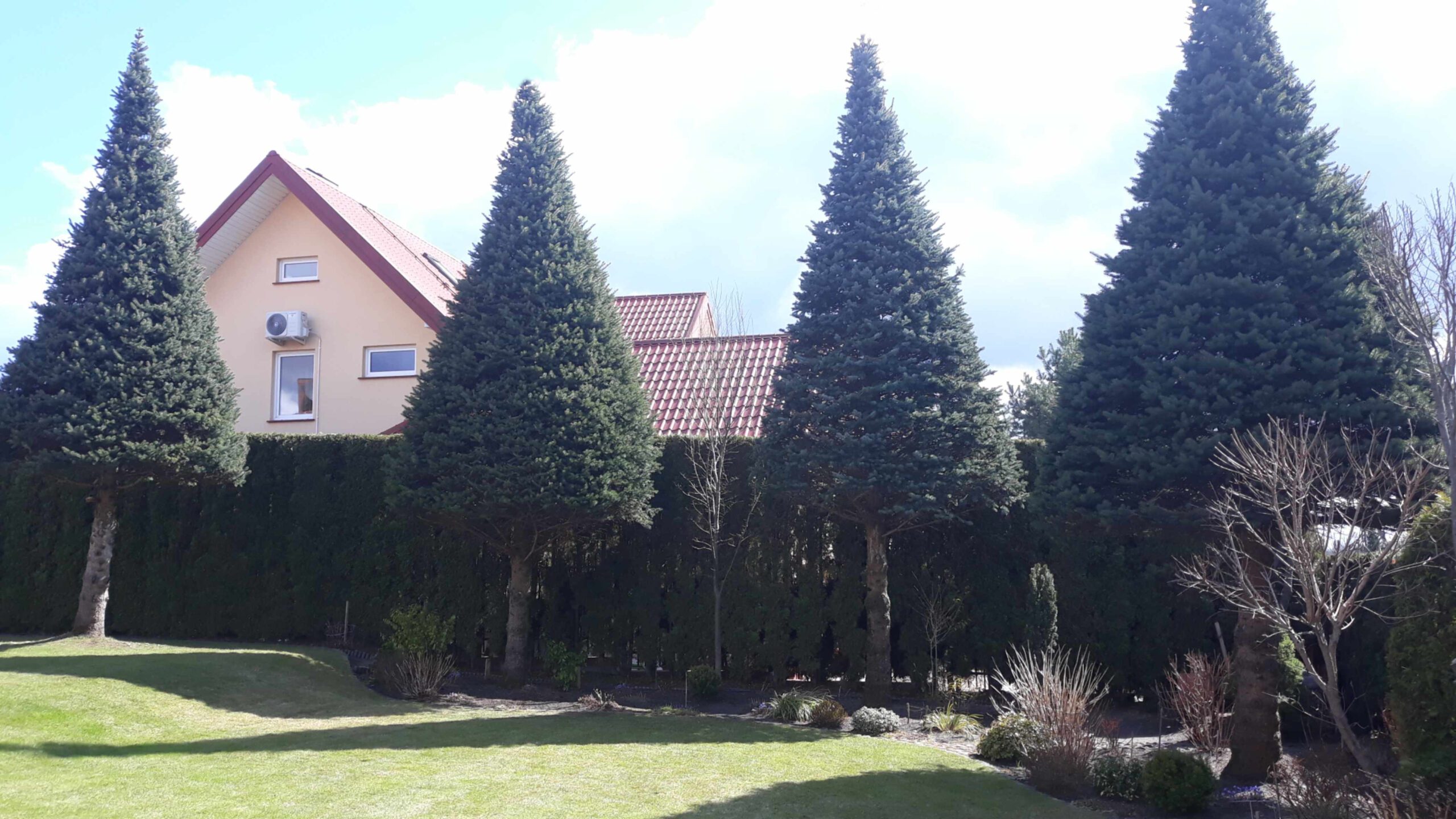 Formowanie drzew i krzewów