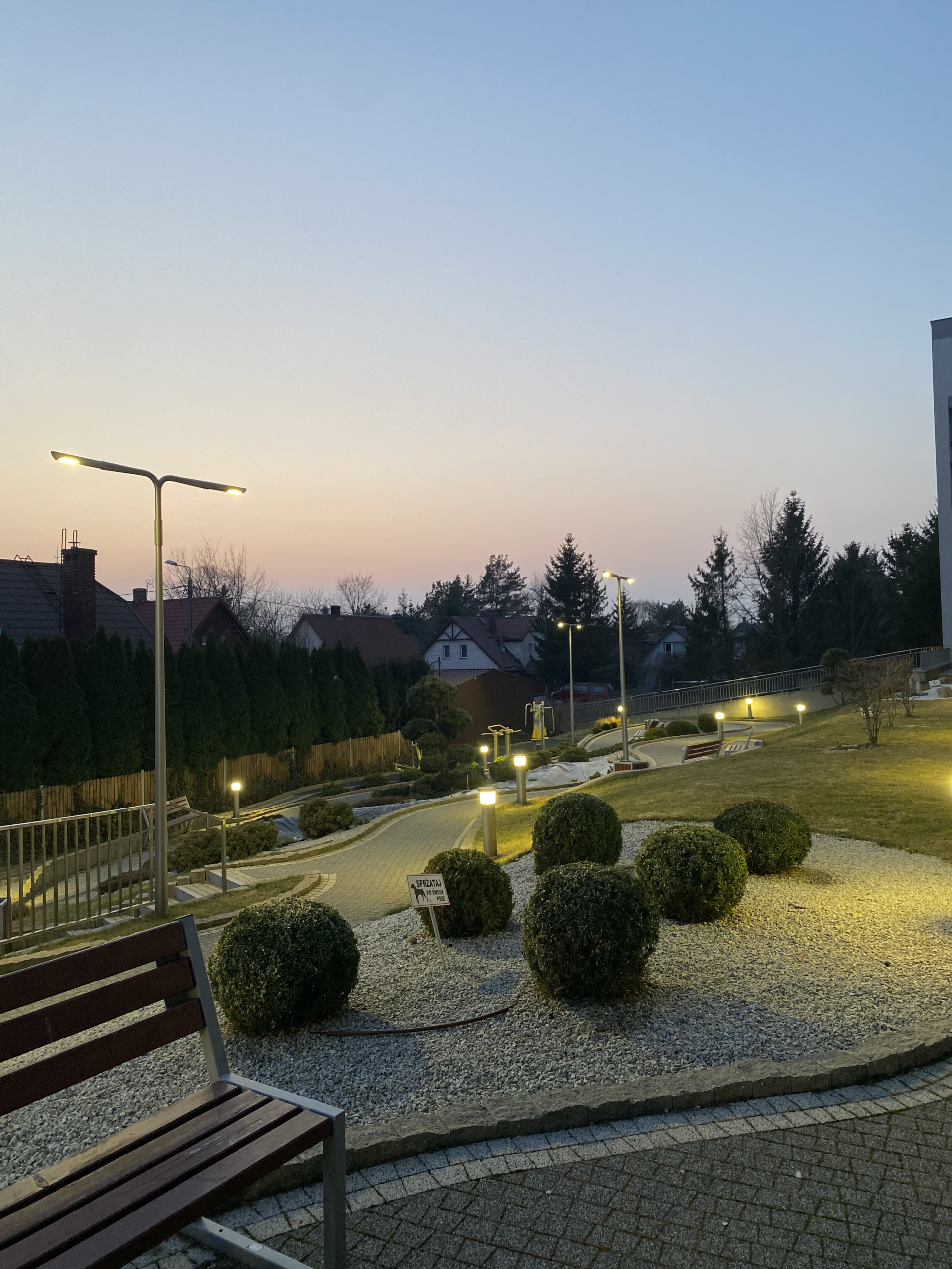 Formowanie bukszpanów w kulki, dosypywanie kamieni na rabatę.